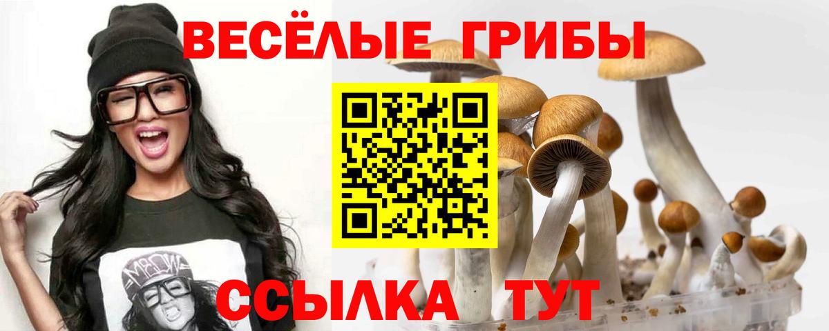 Саратов  Галлюциногенные грибы мицелий  дарнет шоп  Вход с VPN 